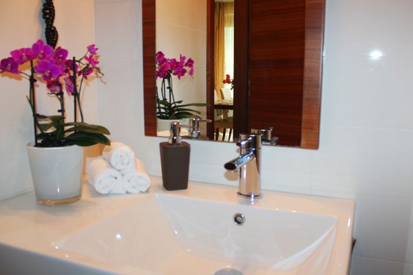 Villa Aina boutique Hotel (Lasko)